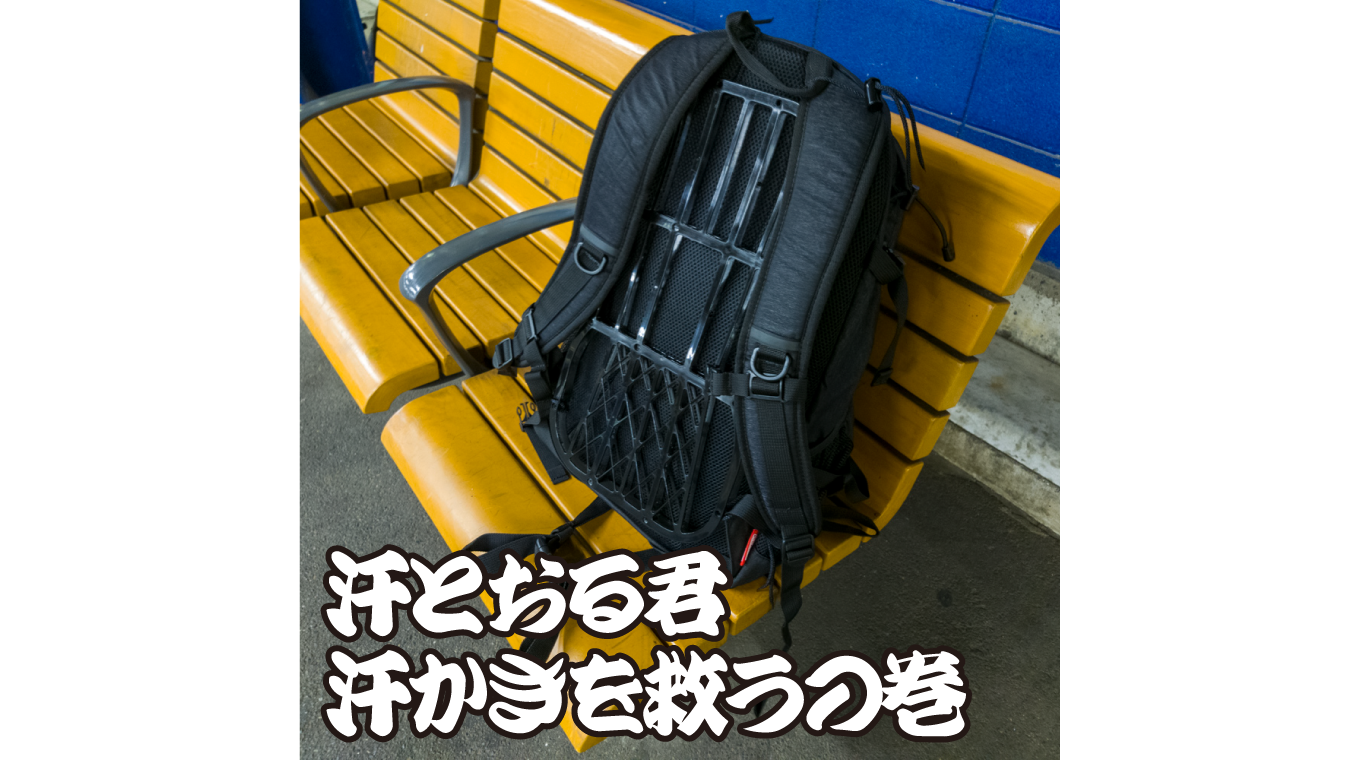「汗とおる君」を使うと大汗かきでもリュックがビショビショにならない