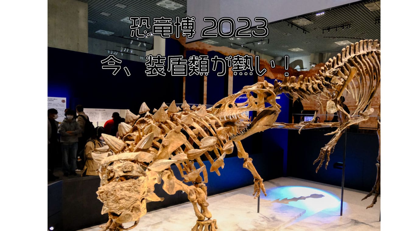 科博の「恐竜博2023」で装盾類に思いを馳せる