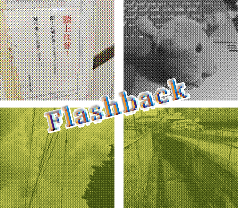 ポケットカメラ風アプリ、Flashbackがめちゃくちゃいいぞ