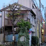 都電荒川線を1日乗車券で乗ってみた