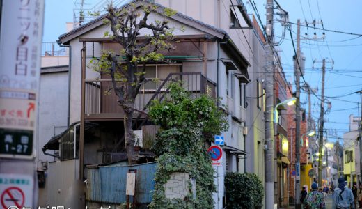 都電荒川線を1日乗車券で乗ってみた