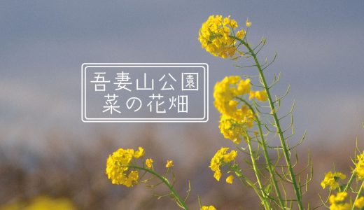 下のソーシャルリンクからフォロー