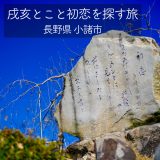『戌亥とこと初恋を探す旅』で小諸フォーエバーしてきた