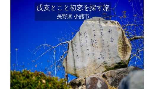 『戌亥とこと初恋を探す旅』で小諸フォーエバーしてきた