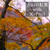 1年ぶりにX-Pro3を持って、大山の紅葉を見に行った