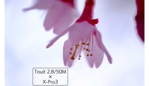 Touit 2.8/50MとX-Pro3で撮る菜の花と桜