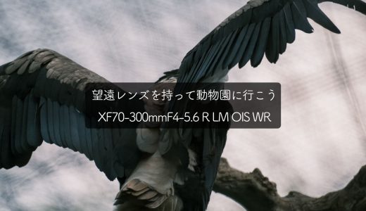 望遠レンズを持って動物園に行こう…XF70-300mmF4-5.6レビュー