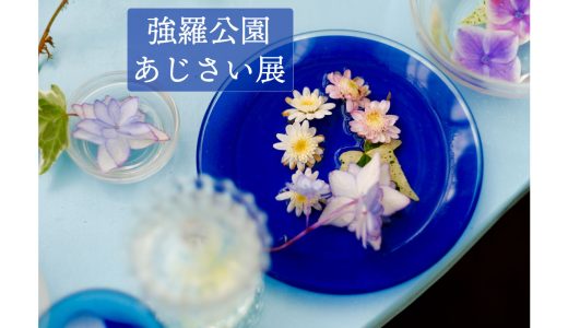 下のソーシャルリンクからフォロー