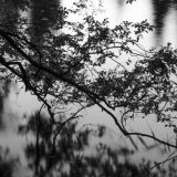 吉祥寺って「きっしょうじ」だと思ってた