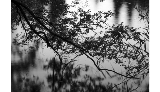 吉祥寺って「きっしょうじ」だと思ってた