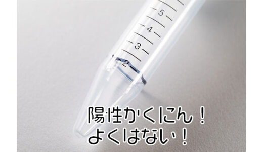 コロナにかかって、旅行が全ておじゃんになったけど生きています