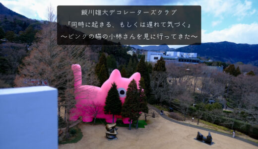 巨大ピンク猫を見に行く…飯川雄大『デコレーターズクラブ 同時に起きる、もしくは遅れて気づく』