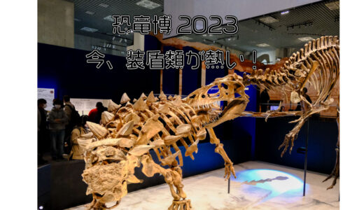 科博の「恐竜博2023」で装盾類に思いを馳せる